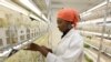 Push for Agricultural Renaissance in Africa Gets $30B Boost