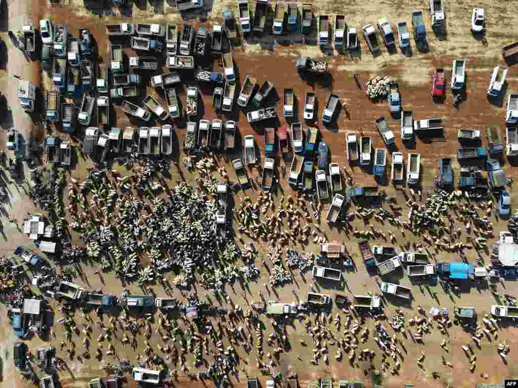 Syrians gather at a livestock market to sell and buy sacrificial animals on the outskirts of Maaret Misrin town in the northwestern Idlib province, ahead of the Eid al-adha (feast of sacrifice).