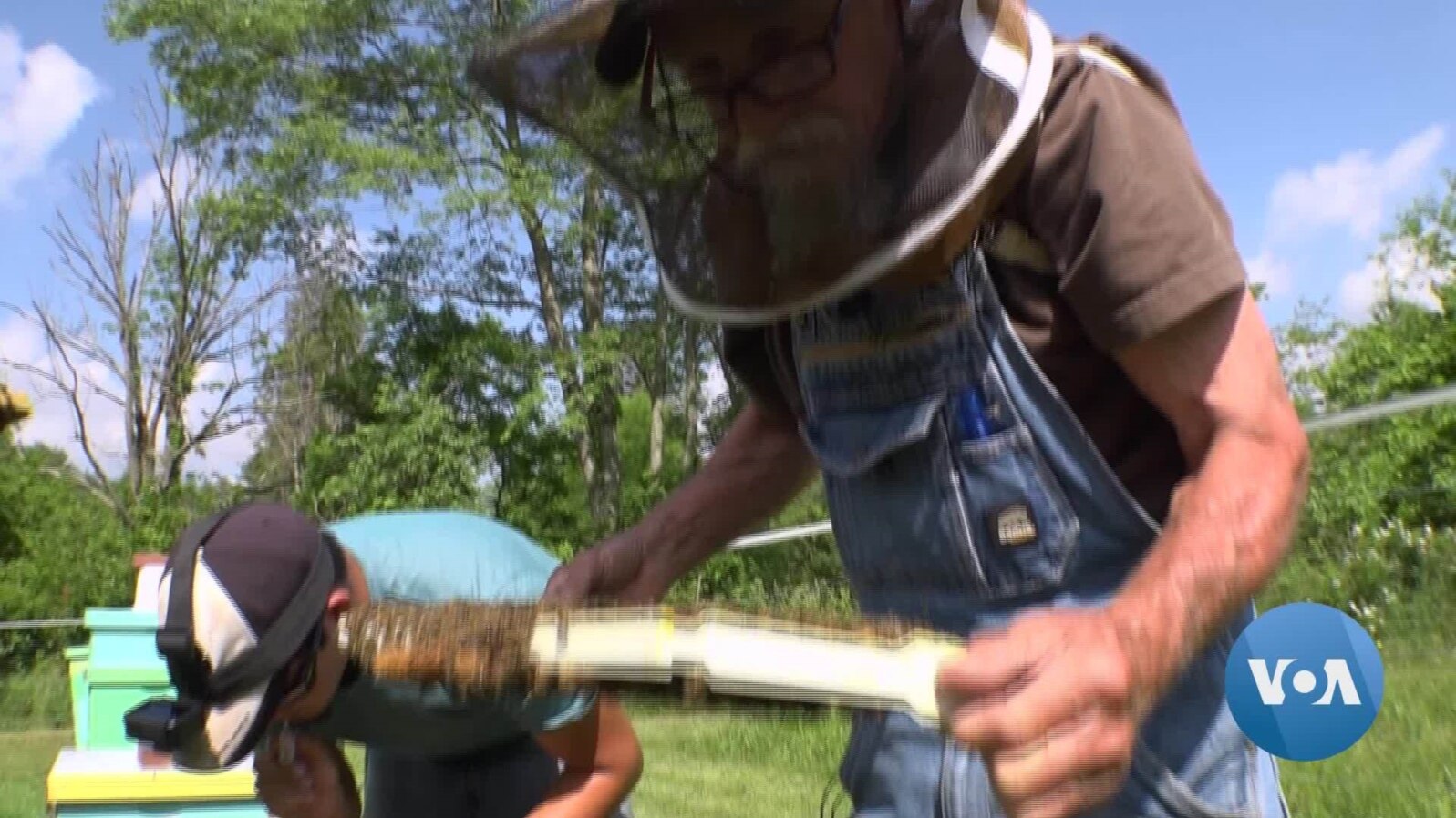 Honeybees Help Displaced Workers in West Virginia 