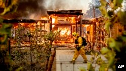 Seorang petugas damkar melewati kawasan rumah penduduk yang terbakar di Healdsburg, California, Minggu (27/10). 