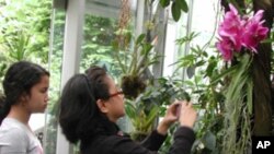 Photographers like Josefina Mateo from California hold up the tourist traffic in the orchid room at the US Botanic Garden.