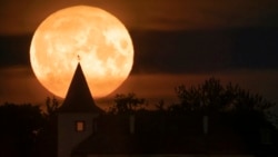 Las consecuencias del huracán Idalia podrían empeorar por los efectos de la
superluna azul.