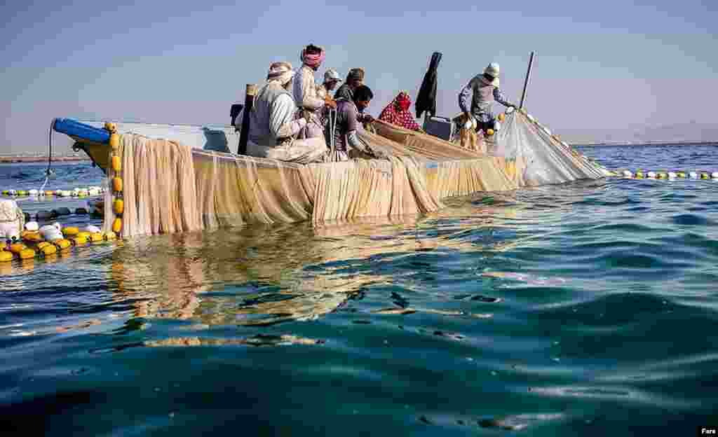 ماهیگیری در بندر جاسک در جنوب ایران
