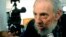Former Cuban leader Fidel Castro speaks to reporters at a polling station in Havana, February 3, 2013. 