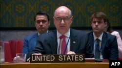 Заступник постійного представника США в ООН Ден Негреа