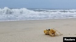 Pantai di Pulau Hatteras, Carolina Utara tampak lengang menjelang Badai Tropis Isaias, 3 Agustus 2020. 