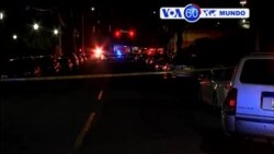 Manchetes Mundo 15 Março 2018: Roubo preciso de milhōes na India