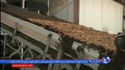 ابتکار شرکت قطری برای تولید خاک حاصلخیز و سبزیجات در سرزمین های کویری