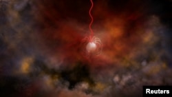 Artist's concept of a neutron star with an ultra-strong magnetic field called a magnetar.  (Submission via Bill Saxton, NRAO/AUI/NSF/REUTERS)
