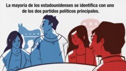 ¿Qué son los terceros partidos?