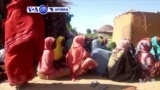 VOA60 Afirka: Mayakan Boko Haram Sun Kashe Mutane 7 A Cikin Wani Kauye Dake Arewa Maso Gabashin Kasar