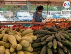 Una ciudadana elige algunos vegetales en un mercado abierto en el oeste de Caracas. Agosto, 2021. Foto: Luisana Solano - VOA.