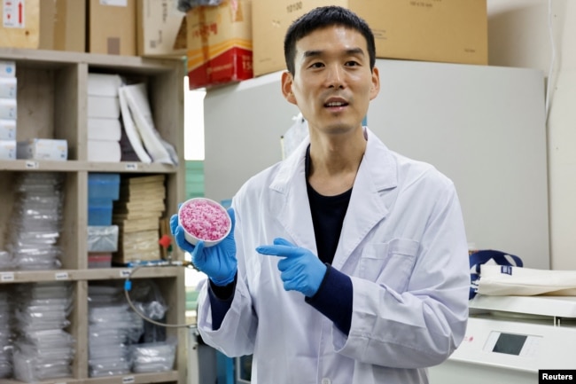 Prof. Jinkee Hong, who led the work of developing hybrid beef rice, elaborated using cow muscle and fat stem cells, holds a bowl of beef rice at the laboratory of Yonsei University in Seoul, South Korea, March 8, 2024. (REUTERS/Kim Soo-hyeon)