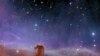Imagen de la Nebulosa “Horsehead” tomada por el telescopio espacial Euclid de la Agencia Espacial Europea. Foto cortesía de la Agencia Espacial Europea, 7 de noviembre de 2023. 