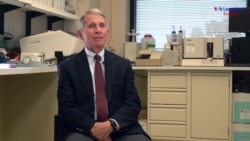 National Institute of Allergy and Infectious Diseases Director Anthony Fauci, M.D.