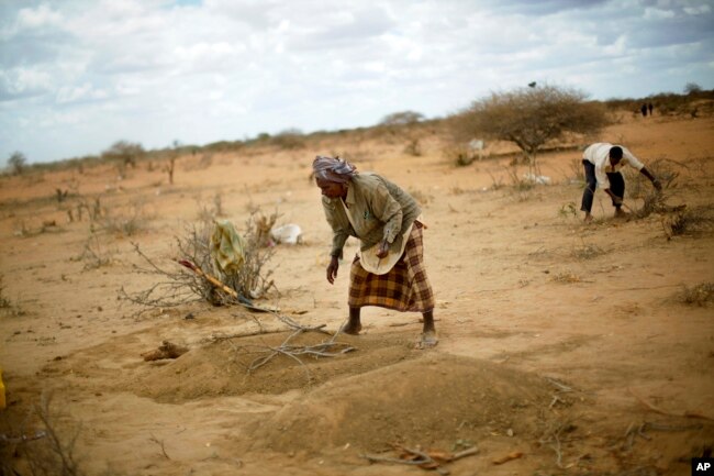 6 Ağustos 2011 tarihli bu fotoğrafta, Kenya sınırındaki kampa ulaştıktan 25 gün sonra, Somali'deki kıtlık nedeniyle yetersiz beslenmeden ölen 12 aylık Somalili bebeğin mezarı görülüyor.