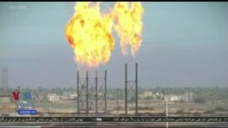 اخبار شامگاهی