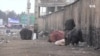 وضعیت دشوار زندگی معتادان در فصل زمستان در هرات