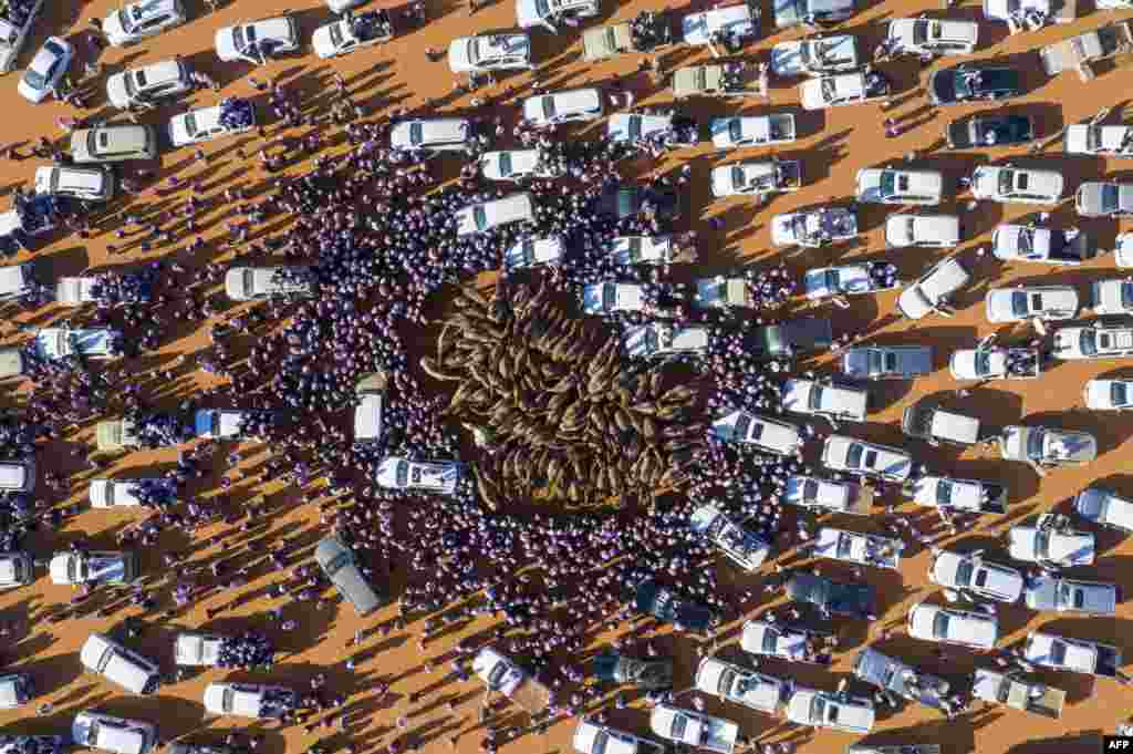 Cars and people surround camels for sale during the annual King Abdulaziz Camel Festival in Rumah, some 160 kilometers east of Riyadh, Saudi Arabia. 