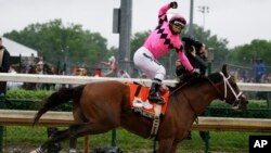 Luis Saez rides Maximum Security across the finish line first during the 145th running of the Kentucky Derby horse race at Churchill Downs, May 4, 2019, in Louisville, Kentucky. 