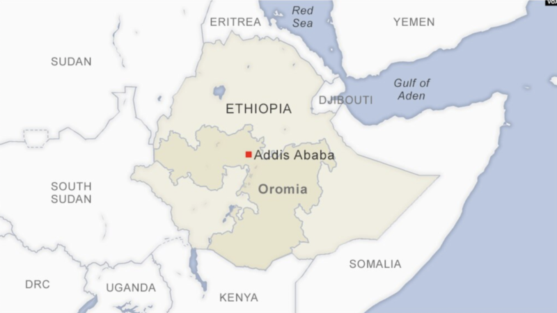 Report says Ethiopia forces military recruitment, including minors