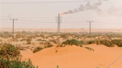 پشتیبانی عربستان سعودی از ثبات قیمت نفت