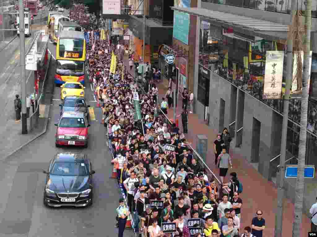 香港民阵发起反释法大游行(美国之音海彦拍摄)