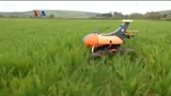 Pemanfaatan Teknologi Canggih untuk Pertanian