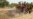 Nigerian Economy Gaining on Regional Heavyweight South Africa