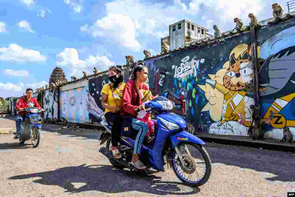 لوپبوری میں بندروں کی نس بندی کا پروگرام تین سال سے رکا ہوا تھا اور ان تین برسوں میں یہاں بندروں کی تعداد دوگنا ہو کر چھ ہزار تک پہنچ گئی ہے۔ 