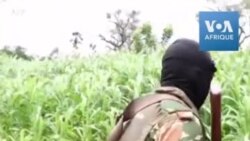 Des soldats camerounais patrouillent dans l'extrême nord après les attaques de Boko Haram