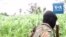 Des soldats camerounais patrouillent dans l'extrême nord après les attaques de Boko Haram
