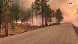 Օրեգոնի անտառային հրդեհներն արդեն տարածվել են 150,000 հեկտար, դրանք այժմ սպառնում են Կալիֆոռնիայի էլեկտրաէներգիայի աղբյուրներին