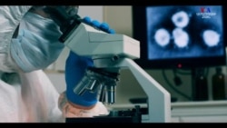 Կորոնավիրուսի դեմ պայքար` երկու ճակատով. բուժում եւ բացատրական աշխատանք