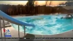 اخبار شبانگاهی