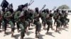 Somalia Seeks Easing of Arms Embargo in Effort to Defeat al-Shabab
