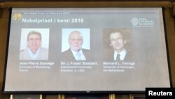 همراه با مدال و دیپلوم مبلغ ۹۳۰ هزار دالر امریکایی نیز شامل جایزۀ نوبل است