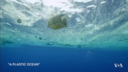 Film Looks at Plastics in the Oceans