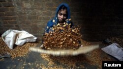 FILE - A female laborer winnows almonds inside a small-scale factory unit in New Delhi, Jan. 15, 2011. India is by far the largest buyer of U.S. almonds.