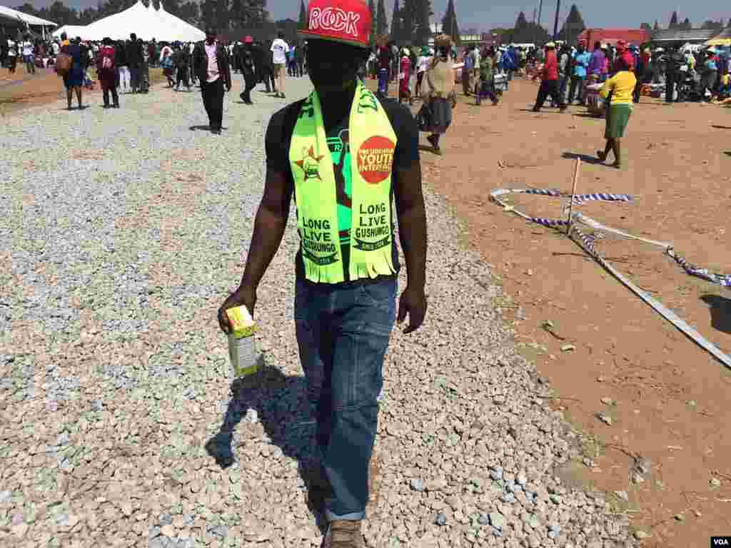 A Zanu PF supporter wearing clothes with party colors.