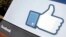 FILE - A screenshot shows the Facebook "like" icon.