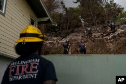 Petugas pemadam kebakaran membersihkan puing-puing di Kula, Hawaii menyusul kebakaran hutan dan lahan hebat yang menghancurkan sejumlah wilayah di Maui, Hawaii, Selasa, 15 Agustus 2023. (Foto: Jae C. Hong/AP Photo)