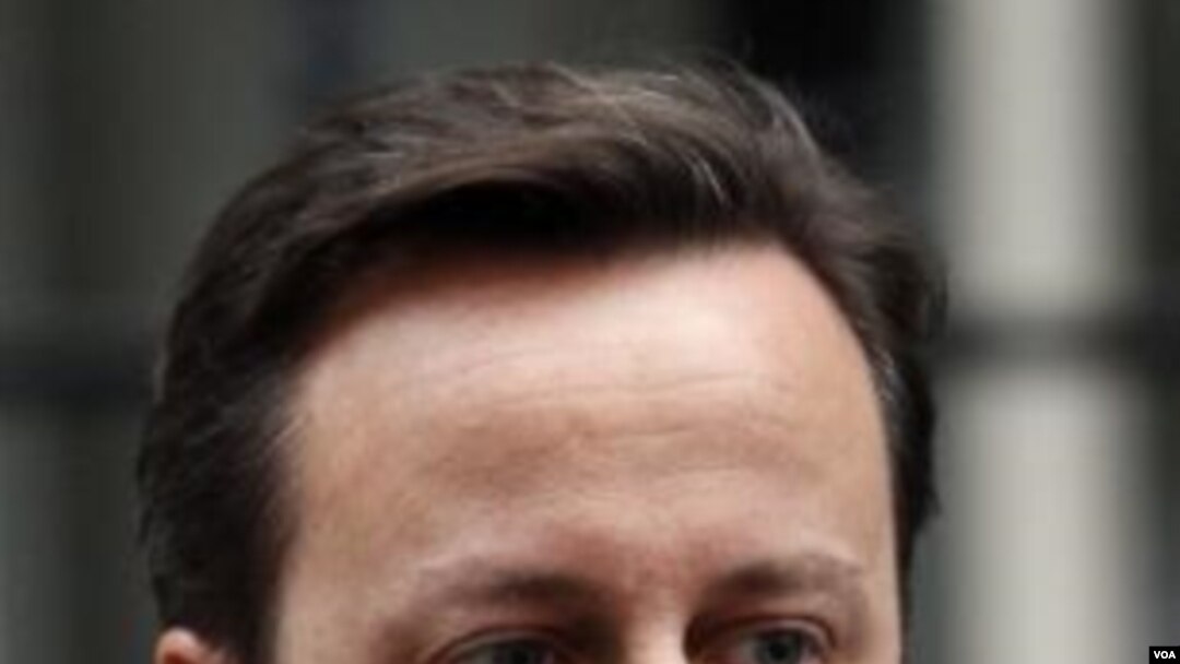 Perdana Menteri Inggris, David Cameron (Foto: dok).