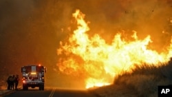 Firefighters from the Lompoc City Fire Department take shelter behind their engine on June 16, 2016, as wind driven flames advance from the Sherpa Fire. 