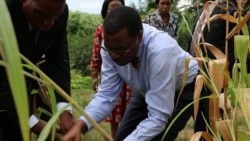 Minute Eco: BAD - des doutes sur la réélection d'Akinwumi Adesina