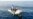 Recent Boat Tragedies Mark Deadly Journey for Migrants