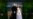 Costa Rica gana premio Earthshot por programa ambiental