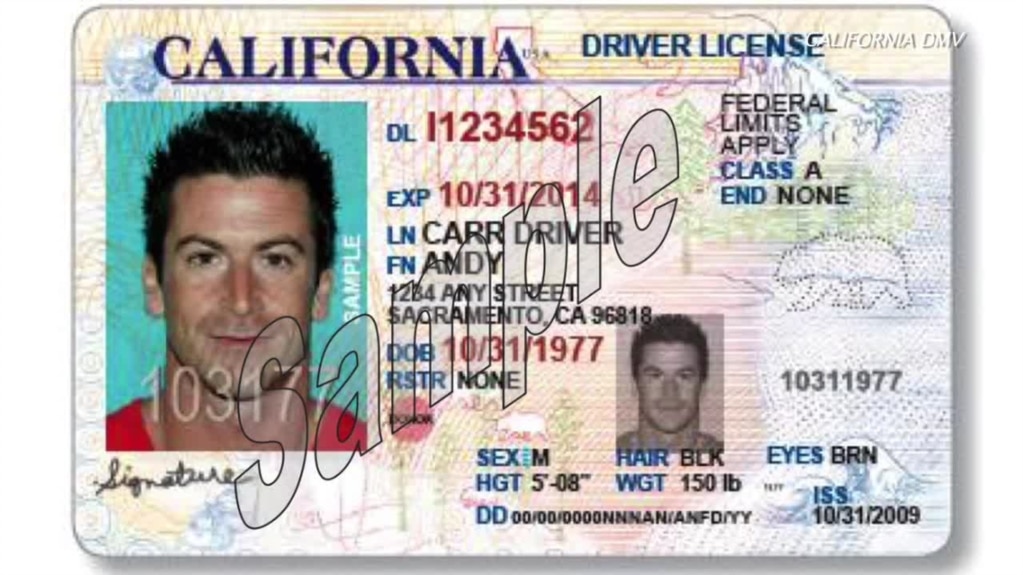 fake driving license template