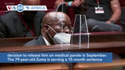 VOA60 Africa - South African High Court Orders Zuma Back to Jail