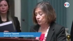 Patricia Tappatá, representante del grupo de expertos independientes